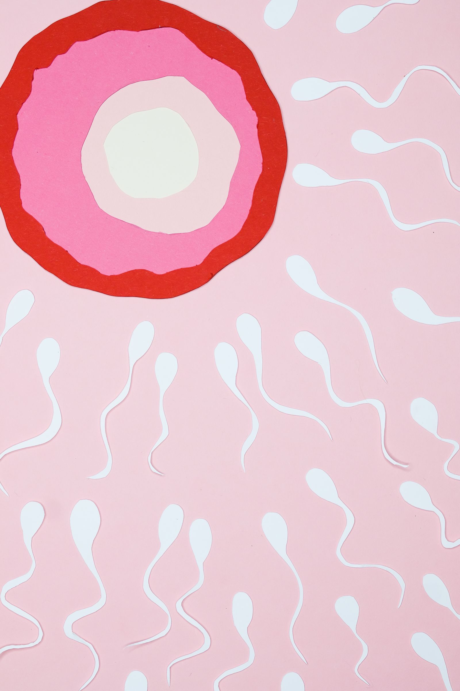 IVF specialists at work